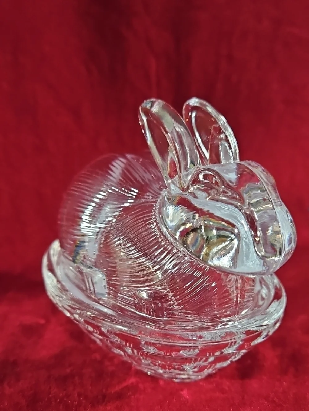 Adorable Bunny Rabbit Lid Nestled Atop A Basket Weave Nest